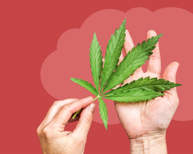 About Hemp