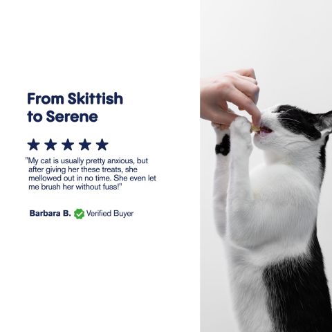 CBD Cat Treats - Tartar Control - 600mg - MediPets - Thumbnail 6
