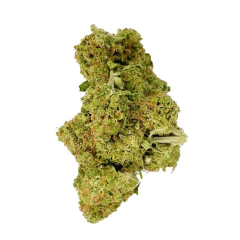 Sativa THCA Flower Ounce Bundle - Thumbnail 6
