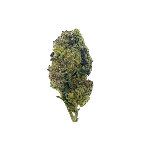 Sativa THCA Flower Ounce Bundle - Thumbnail 8