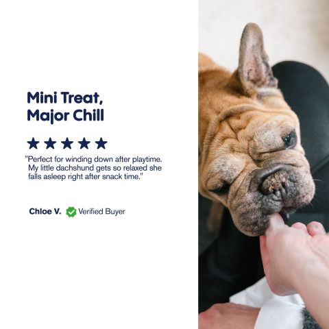 CBD Dog Treats - Mini Hot Dogs - 600mg - MediPets - Thumbnail 8