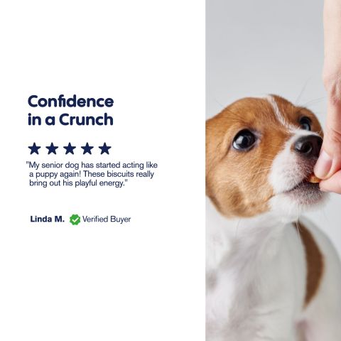CBD Dog Treats - Bone Marrow Chew - 300mg - MediPets - Thumbnail 8