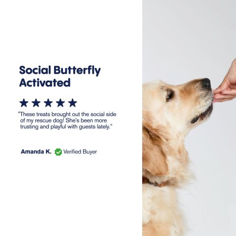 CBD Dog Treats - Beef Chew - 500mg - MediPets - Thumbnail 8