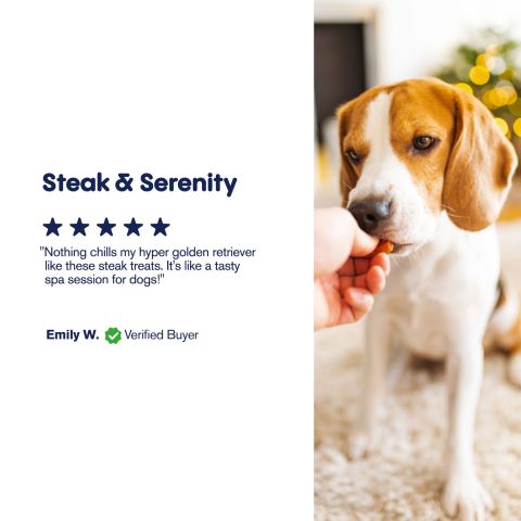 CBD Dog Treats - Grilled Steak - 500mg - MediPets - Thumbnail 8