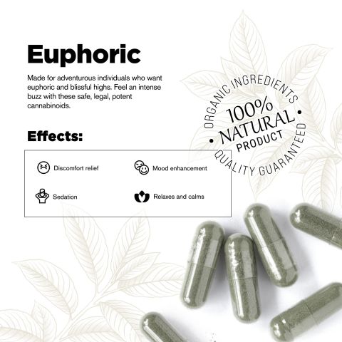 500mg Kratom Capsules - Trainwreck - 100 ct - Chill Plus - Thumbnail 4