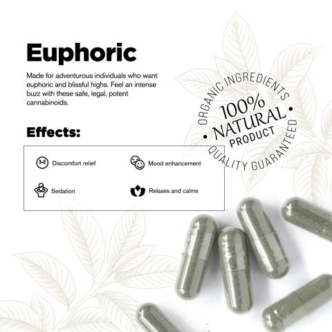 500mg Kratom Capsules - Green Maeng Da - 100 ct - Chill Plus - Thumbnail 4