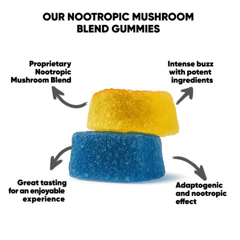 22.5mg Nootropic Mushroom Blend Gummies - Fruity Blend - Hocus Pocus - Thumbnail 7