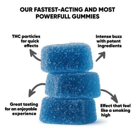 10mg Terpene Gummies - Rest - Blueberry - Terps Gummies - Thumbnail 10