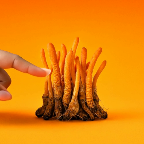 25mg D8, Mushroom Gummies - Shrooms - Video Thumbnail 1